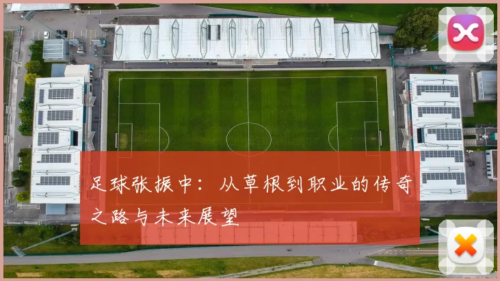 足球张振中：从草根到职业的传奇之路与未来展望