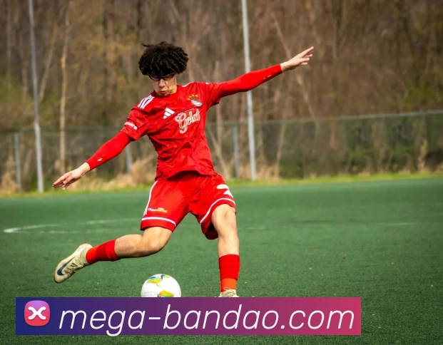 半岛体育APP 体育赛事宣传图